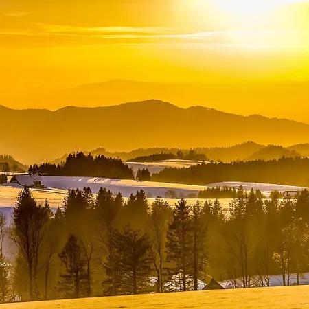 Berghof Almzeit - 