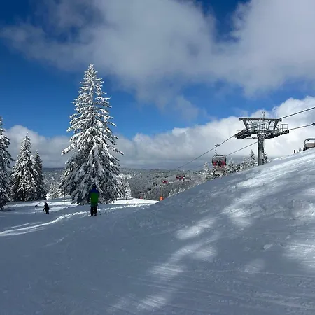 Apartament Berghof Almzeit - 